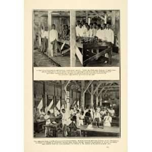  1915 Print Philippines Agriculture Bureau Filipino 