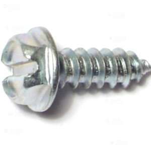   Slotted Hex Washer Sheet Metal Screw (125 pieces): Home Improvement