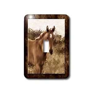 Doreen Erhardt Horses   The Stallion with Grunge Frame   Light Switch 