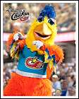 Famous San Diego Chicken Bobblehead  