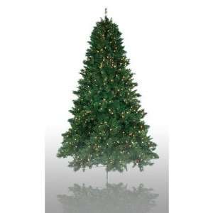   Christmas Tree Set Light Color: Multicolored Lights: Home & Kitchen