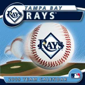  Tampa Bay Rays 2009 Box Calendar
