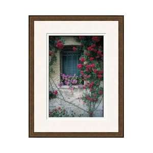  Red Roses Surround Window Asolo Italy Framed Giclee Print 