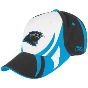  Reebok Carolina Panthers Colorblock Hat: Sports & Outdoors