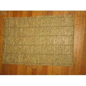  Set of 10 woven placemats from pier 1 