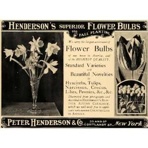   Flower Bulbs Tulips Daffodils   Original Print Ad: Home & Kitchen