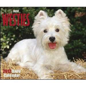  Westies 2012 Daily Box Calendar 6 X 5