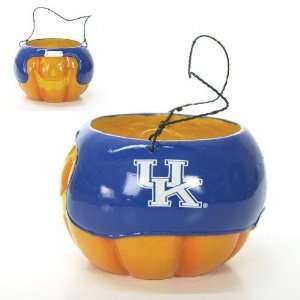 Kentucky Wildcats Halloween Pumpkin Bucket 6.5  Sports 