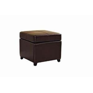  Wholesale Interiors Dark Brown Full Leather Storage Cube 