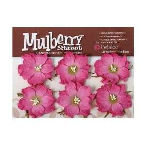  Mulberry Street Handmade Paper Wild Roses 6/Pkg   Fuchsia 