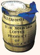 20 lbs DARK Wallenford Blue Mountain Coffee~FREE SHIP  