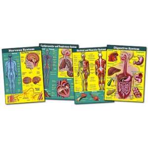  5 Pack CARSON DELLOSA BB SET THE HUMAN BODY Everything 