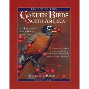   Birds of America 2nd Ed   Color Portfolio of 60 of most popular birds