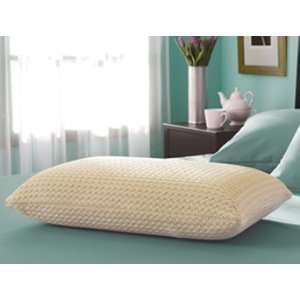  Sealy EmbodyTM ProFormance Memory Foam Pillow