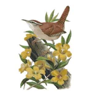   State Bird and Flower Counted Cross Stitch Pattern: Arts, Crafts