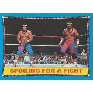  1987 WWF Topps Wrestling Stars Trading Card #28 : The 