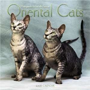   Oriental Cats 2006 Calendar (9780763188078) Isabelle Francais Books