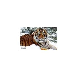  Tigers 2008 Wallet Calendar (9781554560912) Books