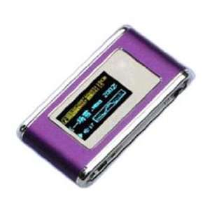   lithium battery through USB/AC charge (2GB): MP3 Players & Accessories