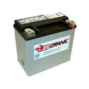  Deka Big Crank Power Sports ETX16L AGM Battery: Car 