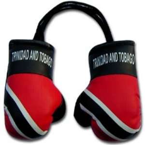Trinidad Flag Mini Boxing Gloves:  Sports & Outdoors
