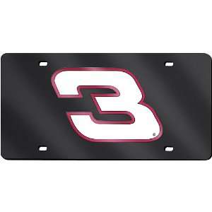    RICO Dale Earnhardt Laser Tag License Plate: Sports & Outdoors