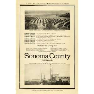  Sonoma County California Agricultural Orchard Fruit Farming Petaluma 