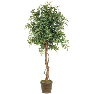 Faux 72 High Queen Leaf Tree 