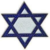 JEWISH STAR OF DAVID RELIGIOUS NOVELTY LAPEL PIN  