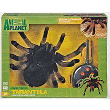 Animal Planet Radio Control Tarantula   Toys R Us   Toys R Us