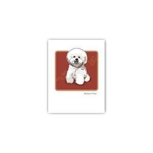   Grrreen Boxed 6 Note Cards   Bichon Puffy Hair