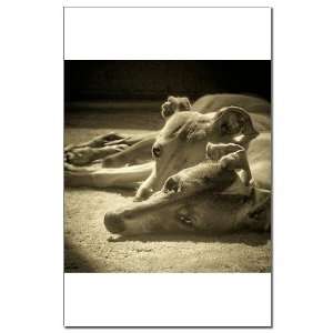  Italian Greyhound Pets Mini Poster Print by  