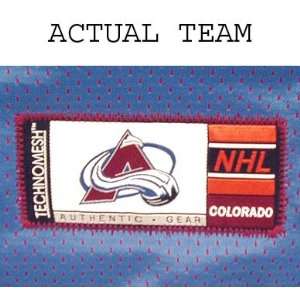  NHL Colorado Avalanche Technomesh Gear/Equipment Duffle 