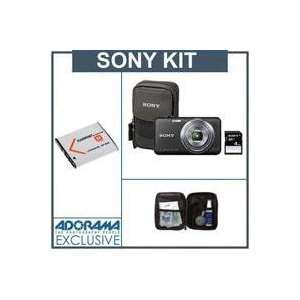  Sony Cyber shot DSC WX70 Digital Camera Bundle Black, 4GB 