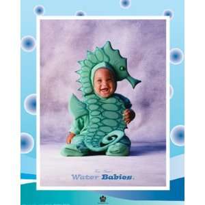  Baby Seahorse by Tom Arma 16x20: Kitchen & Dining