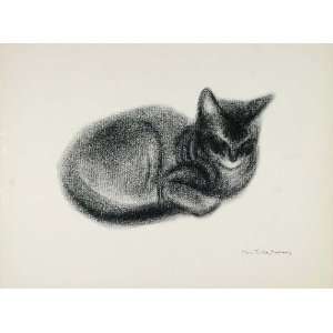   Female Kitten Clare Newberry   Original Print