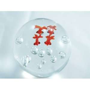  Murano Design Hand Blown Fish Seaworld Bubble art Glass 
