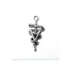  Sterling Silver Charm Pendant Veterinary Caduceus Jewelry