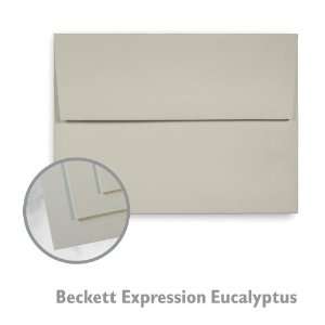  Beckett Expression Eucalyptus Envelope   1000/Carton 
