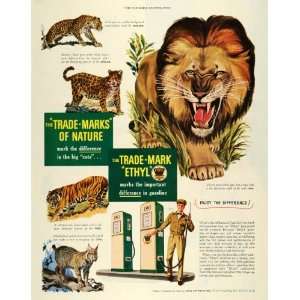  1950 Ad Lion Leopard Jaguar Tiger Lynx Ethyl Antiknock 