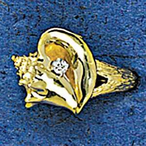  Edwards 14K Gold 15MM Conch Shell Ring, Bark Shank