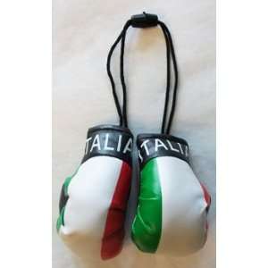  Italy   Mini Boxing Gloves: Automotive