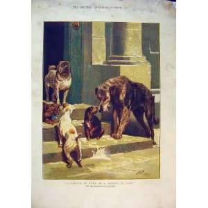   : Christmas 1881 Breeds Dogs House Doorstep Charlton: Home & Kitchen
