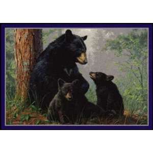  Wildlife Impressions   Hautman   Bear Family Toys & Games