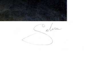 SAHM Hans Werner~Neuland (signiert)~Kunstdruck~60x80cm  