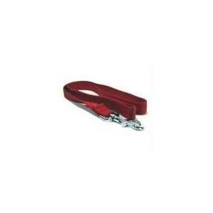  Nylon Dog Lead With Swivel Snap Red 1 In X 4 Ft: Pet 