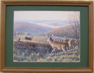Deers Pictures Antlers Bucks in Rut Framed Country Picture Print 