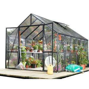 EasyGrow by STC Clear View 8 Ft. x 12 Ft. Greenhouse EG45812VG at The 