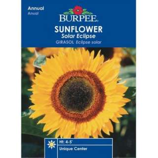 Burpee Sunflower Solar Eclipse Seed 32033 