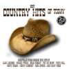 48 No.1 Country Hits Various  Musik